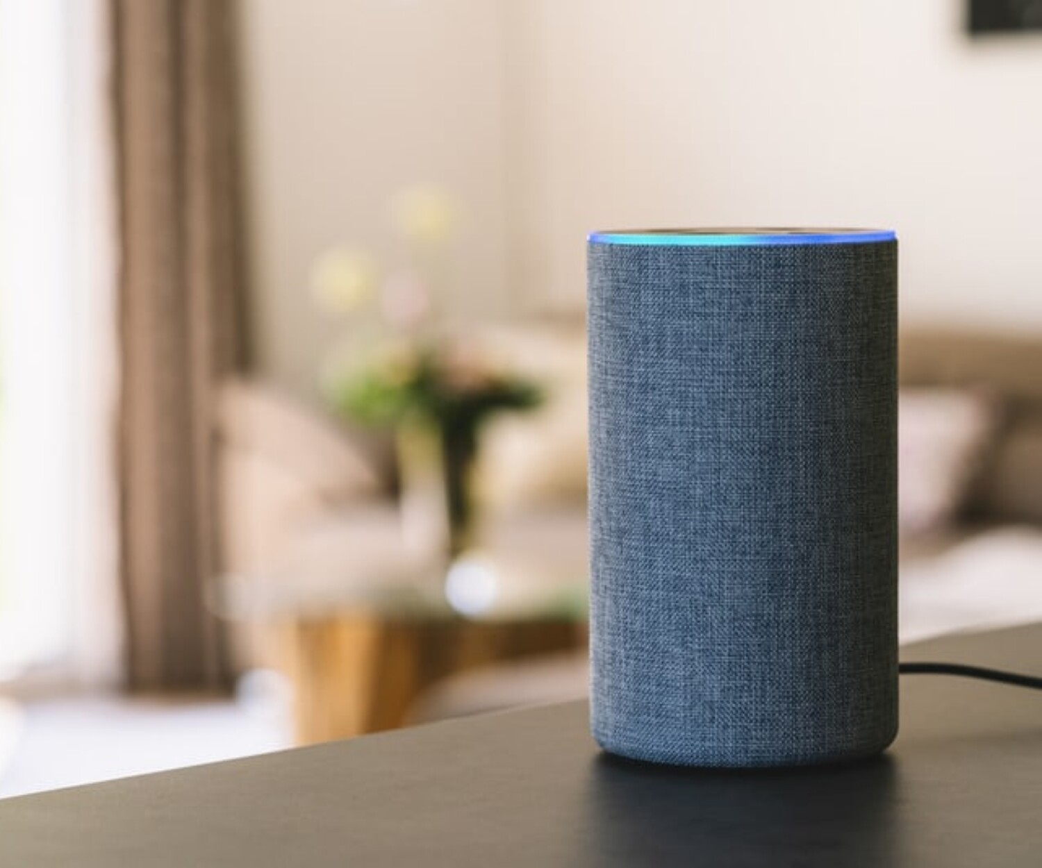 Búsquedas para Asistentes de Voz